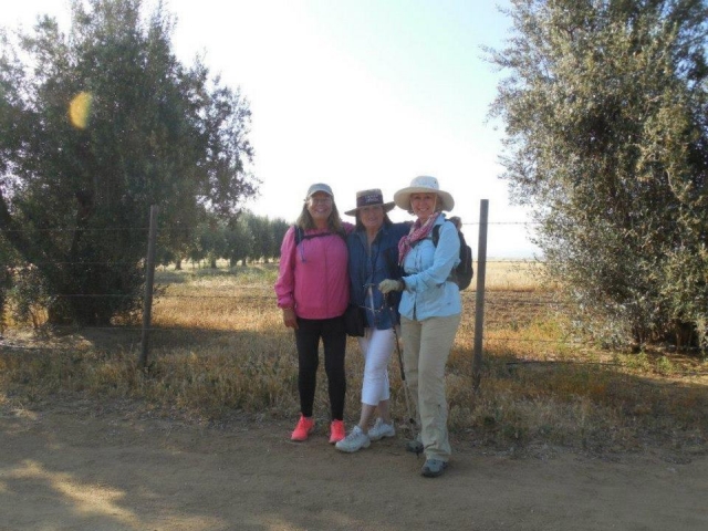  庄园周围的路线 